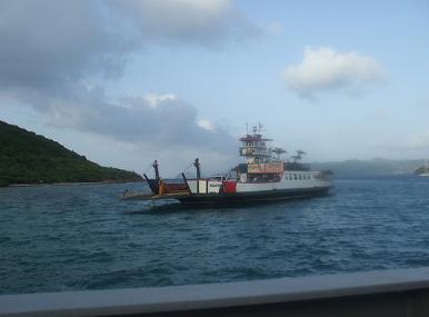 Roanoak by Amy McColl